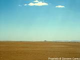YEMEN (03) - Deserto del Ramlat as-Sab'atayn - 18